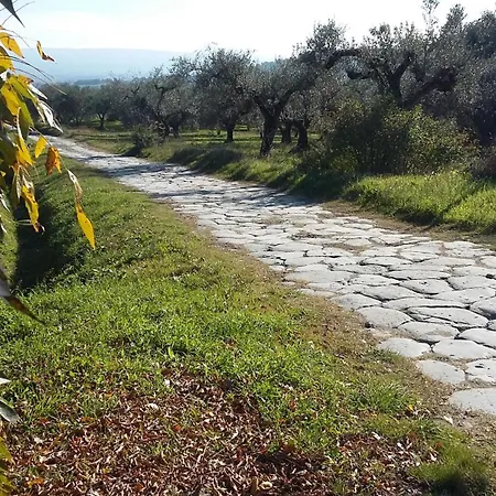 House Near Civita Di Bagnoregio - Amazing Panoramic View - Free Wi-fi San Michele in Teverina