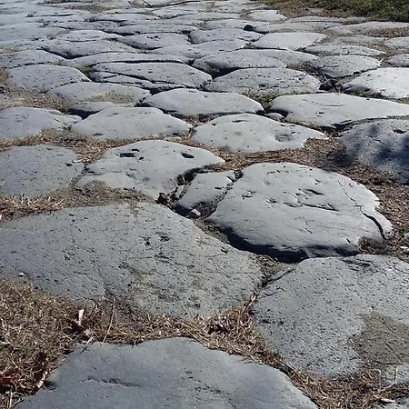 House Near Civita Di Bagnoregio - Amazing Panoramic View - Free Wi-fi Casa vacanze San Michele in Teverina